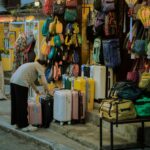 Shock-Absorbing Luggage