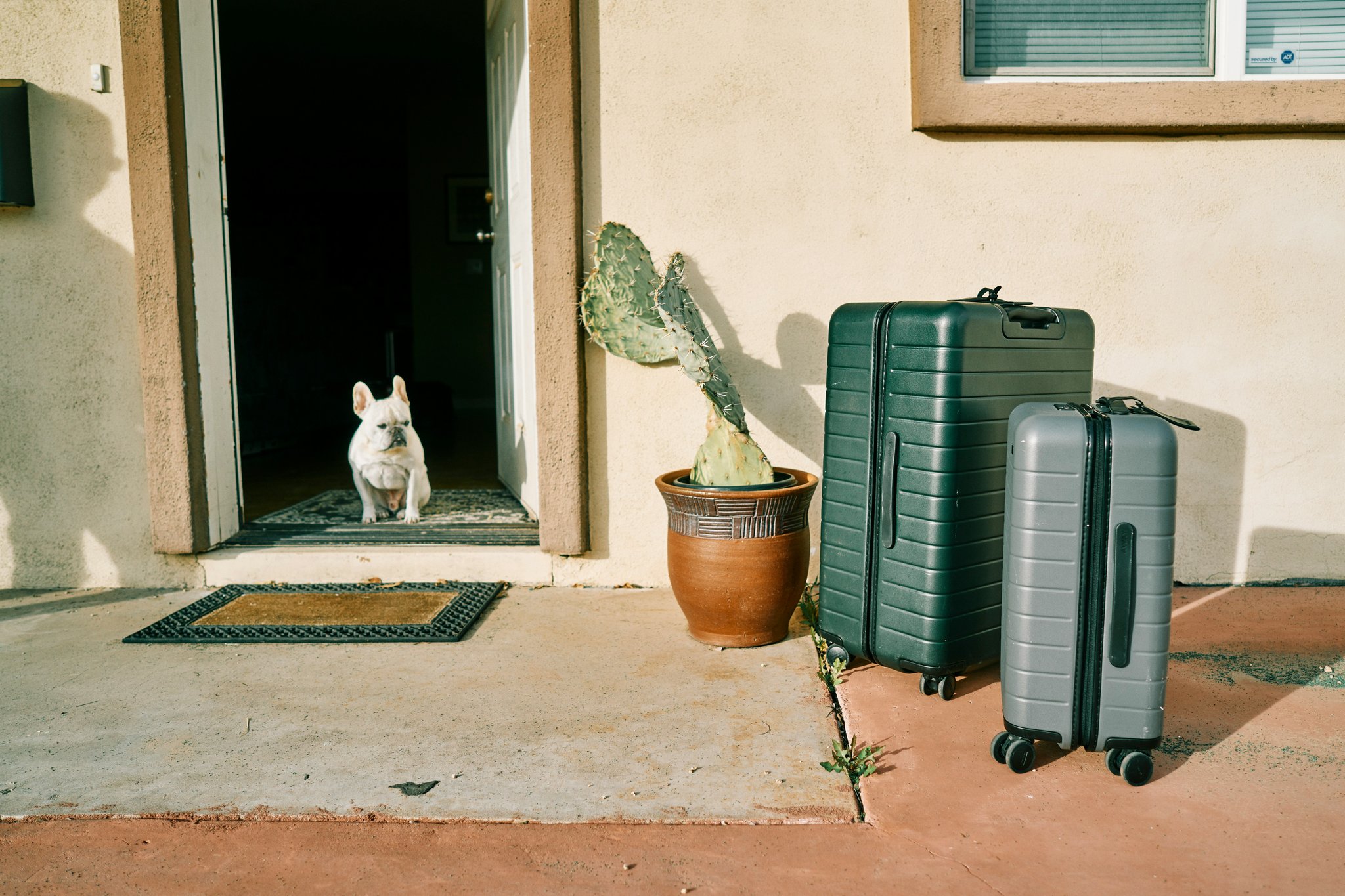 Why Your Next Adventure Needs an Armored Travel Bag (Yes, It’s Worth It)